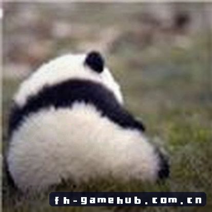 赵先生